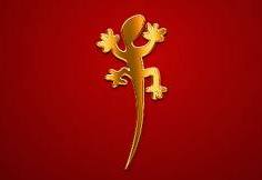 fecnaco